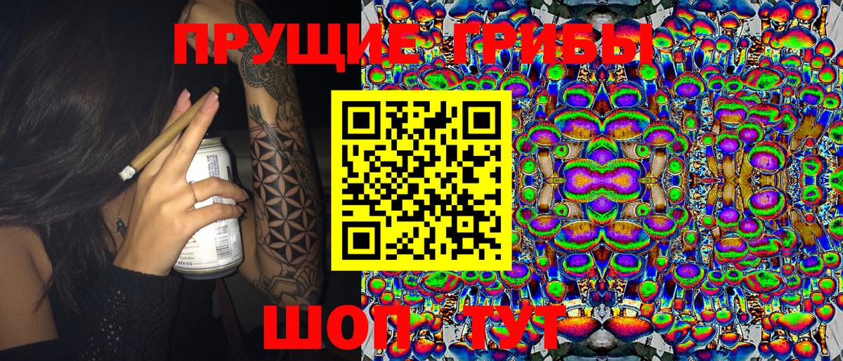 Серов  Псилоцибиновые грибы прущие грибы  купить  цена  Галлюциногенные грибы Psilocybe  Вход с VPN 